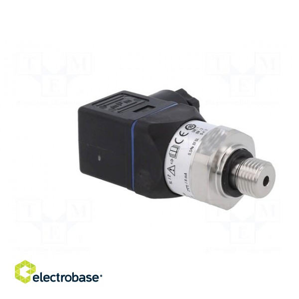 Converter: pressure | Pressure setting range: 0÷16bar | 0.5% | IP67 фото 8