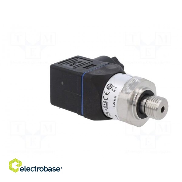 Converter: pressure | Pressure setting range: 0÷250bar | 8÷30VDC фото 8