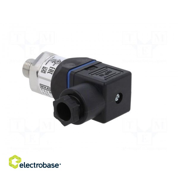 Converter: pressure | Pressure setting range: 0÷250bar | 8÷30VDC image 4