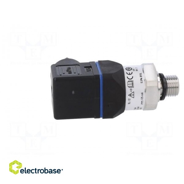 Converter: pressure | Pressure setting range: 0÷4bar | 8÷30VDC фото 7