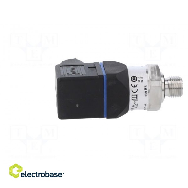 Converter: pressure | Pressure setting range: 0÷600bar | 8÷30VDC image 7