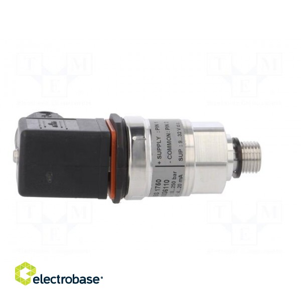 Converter: pressure | Pressure setting range: 0÷250bar | 9÷32VDC image 7