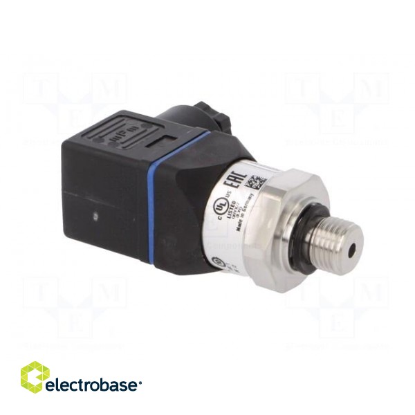 Converter: pressure | Pressure setting range: 0÷40bar | 8÷30VDC paveikslėlis 8