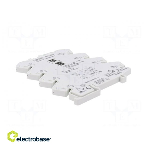 Converter: signal separator/amplifier | for DIN rail mounting image 4