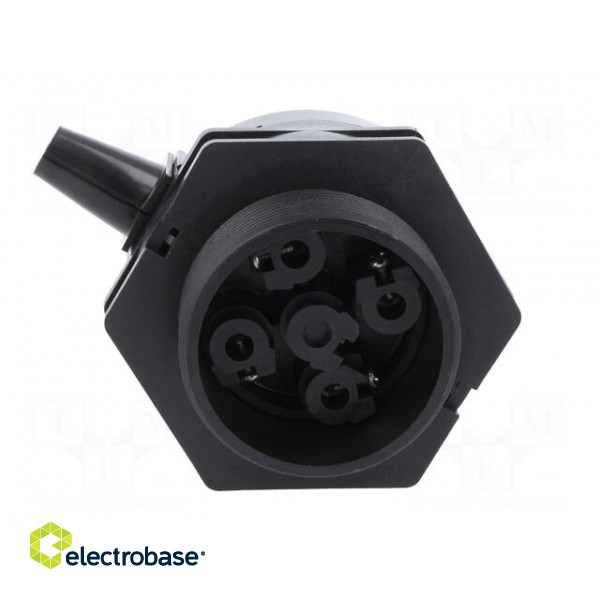 Accessories: electrode holder | 61F-GP image 3