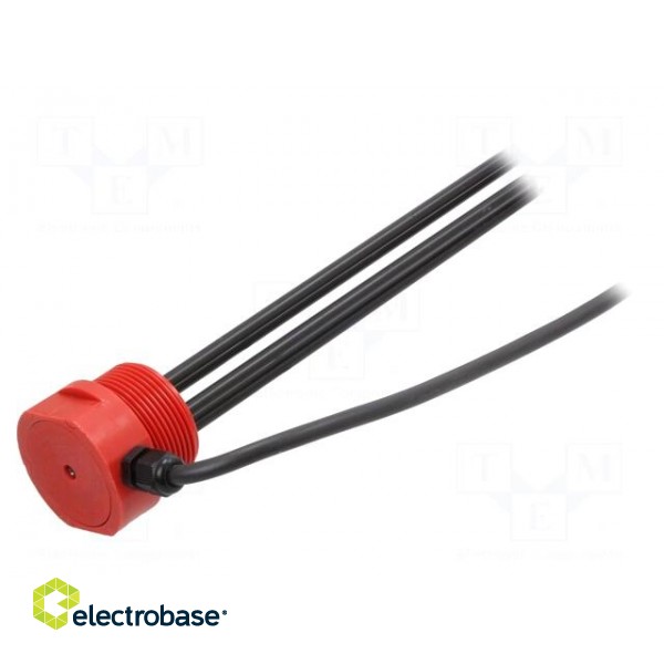 Sensor for fluid level controllers | 2m | Features: 4 electrodes фото 2