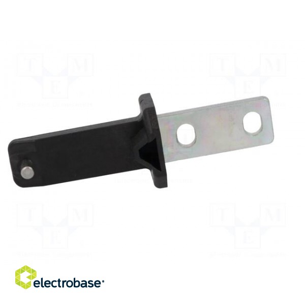 Safety switch accessories: flat key | Series: D4BS image 7