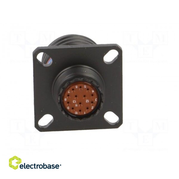 Connector: military | socket | male | PIN: 13 | size 11 | black | crimped image 5