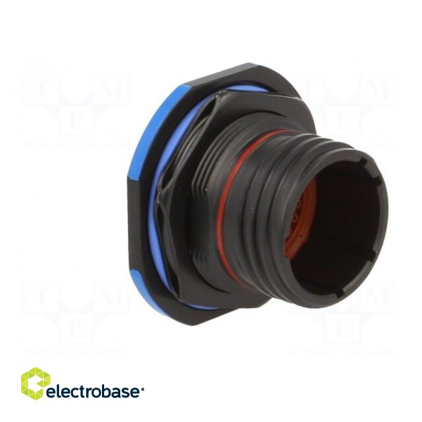 Connector: military | socket | male | PIN: 37 | size 15 | black | crimped paveikslėlis 8
