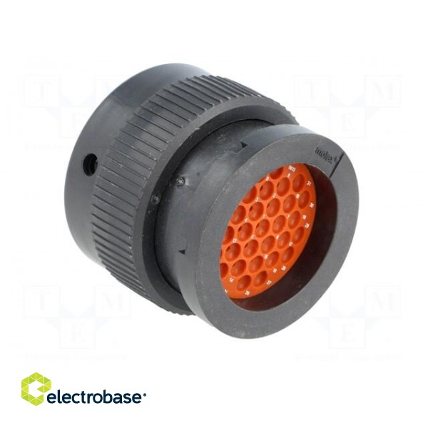 Connector: automotive | XRC | plug | male | PIN: 31 | for cable | straight image 4