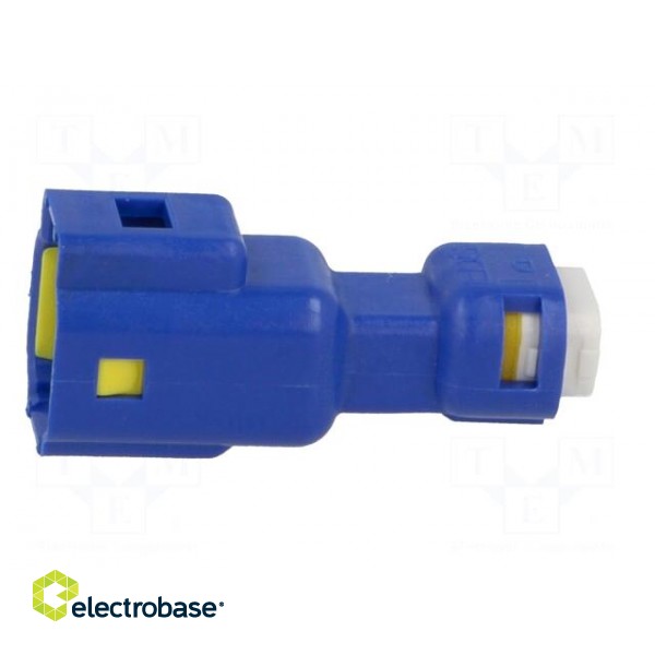 Connector: wire-wire | 560,E-Seal | male | plug | for cable | blue | IP67 paveikslėlis 3