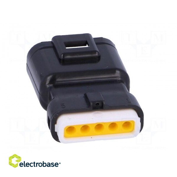 Connector: wire-wire | 565,E-Seal | plug | male | PIN: 5 | IP67 | 16.6mm image 5