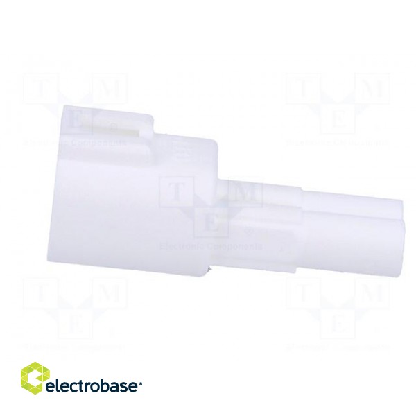 Connector: wire-wire | 570,E-Seal | male | plug | for cable | PIN: 2 image 3