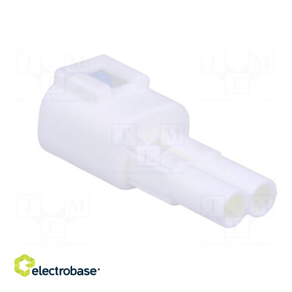 Connector: wire-wire | 570,E-Seal | male | plug | for cable | PIN: 2 image 4