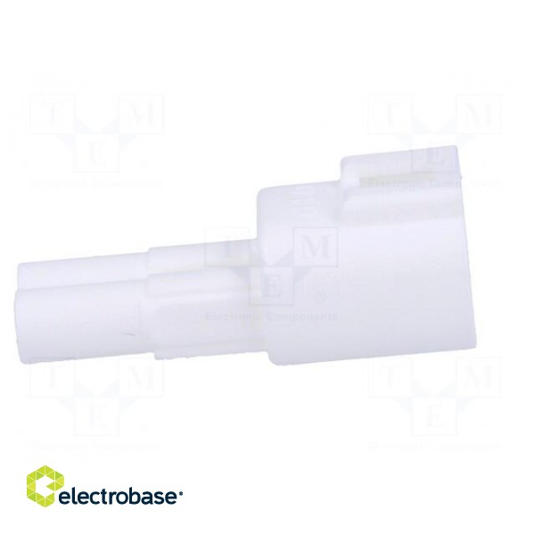 Connector: wire-wire | 570,E-Seal | male | plug | for cable | PIN: 2 image 7