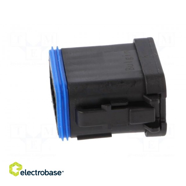 Connector: wire-wire | PX0 | female | plug | for cable | PIN: 12 | black paveikslėlis 3