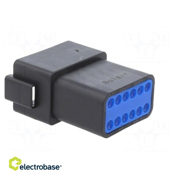 Connector: wire-wire | PX0 | male | plug | for cable | PIN: 12 | black image 4