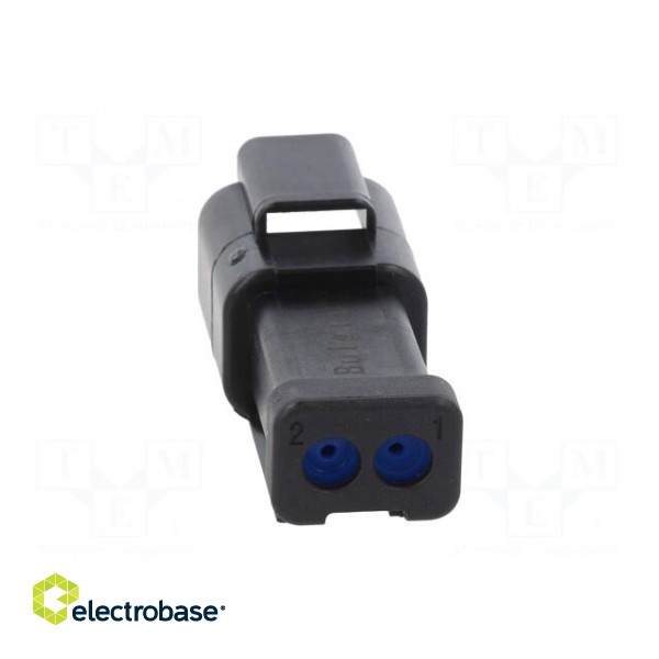 Connector: wire-wire | PX0 | male | plug | for cable | PIN: 2 | black | IP68 paveikslėlis 5