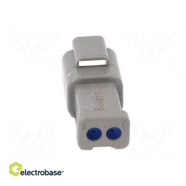 Connector: wire-wire | PX0 | male | plug | for cable | PIN: 2 | grey | IP68 image 5