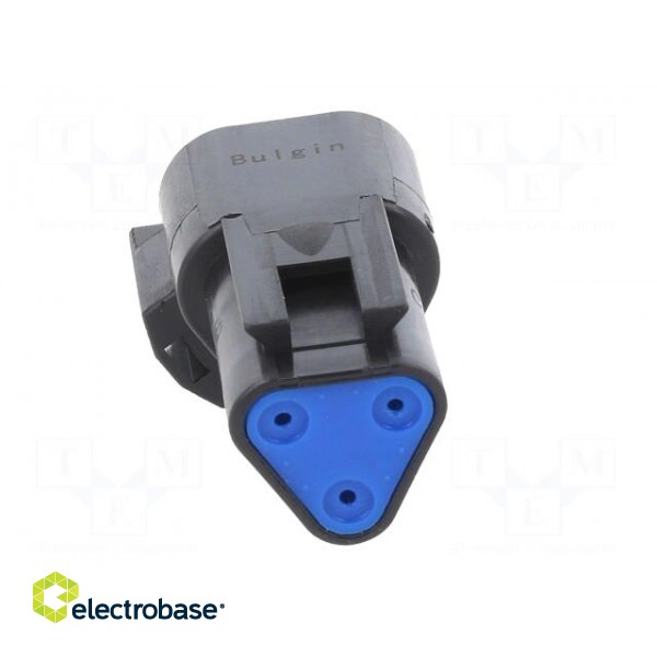 Connector: wire-wire | PX0 | male | plug | for cable | PIN: 3 | black | IP68 paveikslėlis 5