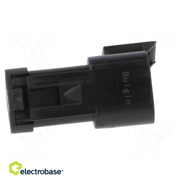 Connector: wire-wire | PX0 | male | plug | for cable | PIN: 3 | black | IP68 image 7