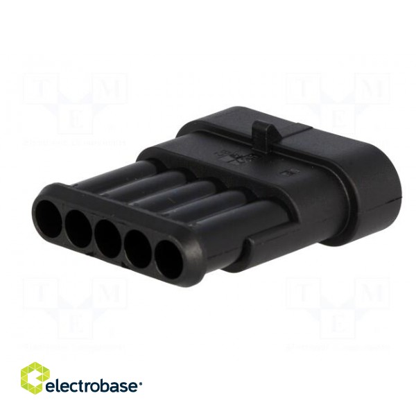 Connector: wire-wire | Superseal 1.5 | plug | male | PIN: 5 | IP67 | 24VDC image 6