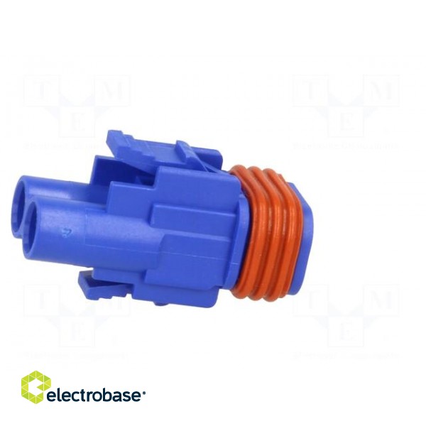 Connector: wire-wire/PCB | 570,E-Seal | plug | female | PIN: 2 | IP67 image 7