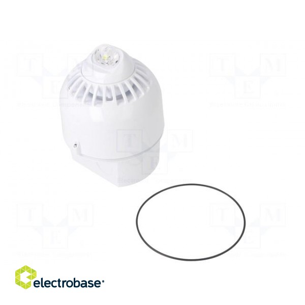 Signaller: lighting-sound | 17÷60VDC | horn,flashing light | LED paveikslėlis 1