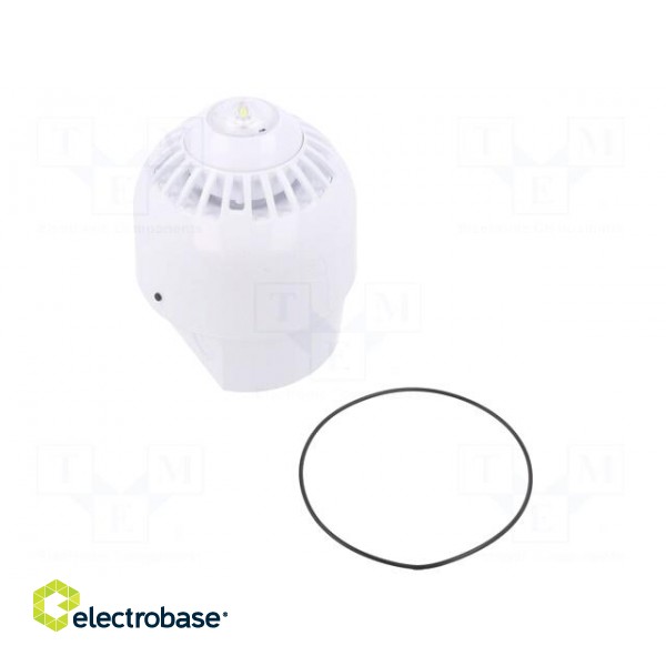 Signaller: lighting-sound | 17÷60VDC | horn,flashing light | LED image 1
