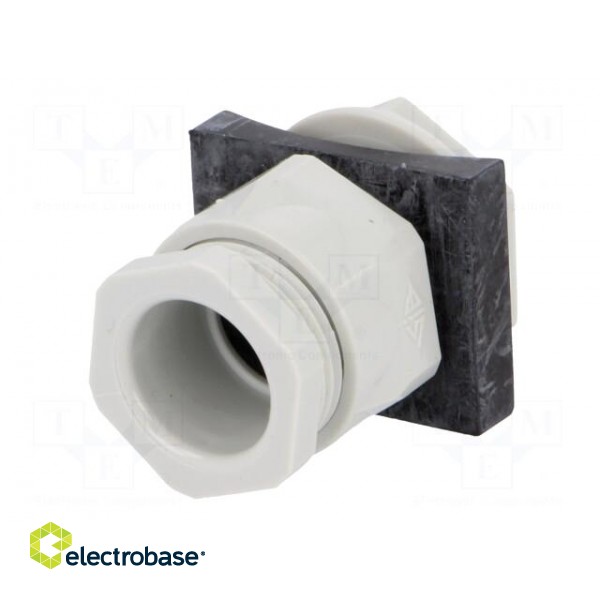 Signallers accessories: cable gland image 2