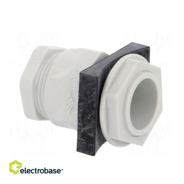 Signallers accessories: cable gland image 4