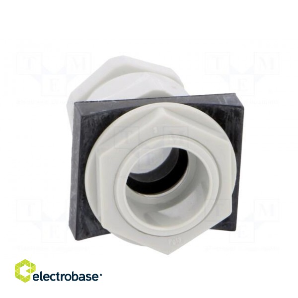 Signallers accessories: cable gland image 5