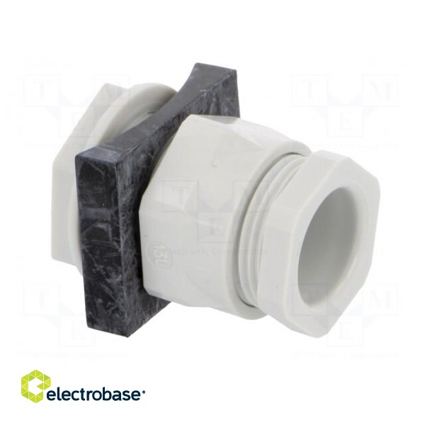Signallers accessories: cable gland image 8