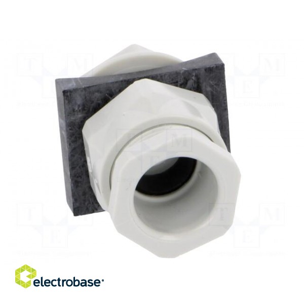 Signallers accessories: cable gland image 9