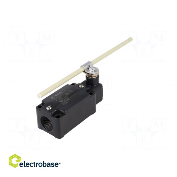Limit switch | adjustable fiber glass rod, R 19- 189mm | NO + NC paveikslėlis 6