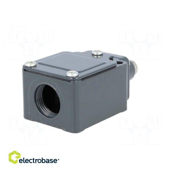 Limit switch | pin plunger Ø10mm | NO + NC | 6A | 400VAC | PG11 | IP67 image 6