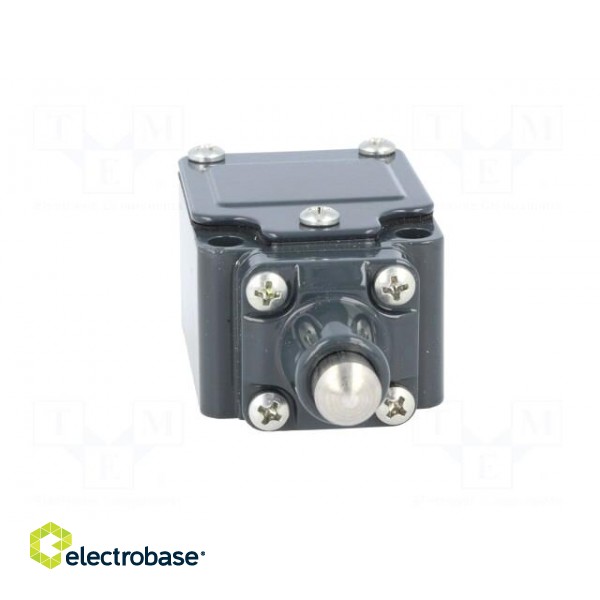 Limit switch | pin plunger Ø10mm | NO + NC | 6A | 400VAC | PG11 | IP67 image 9