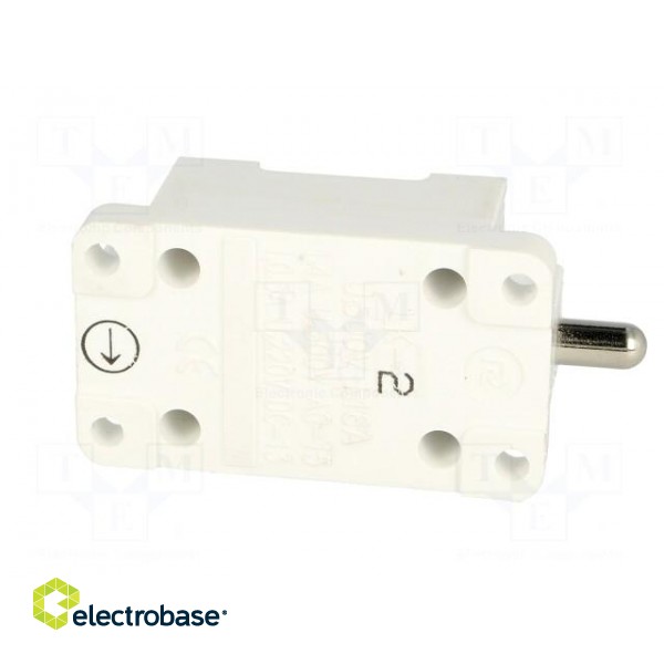 Limit switch | plunger | NO + NC | 16A | max.500VAC | max.220VDC | IP00 image 7