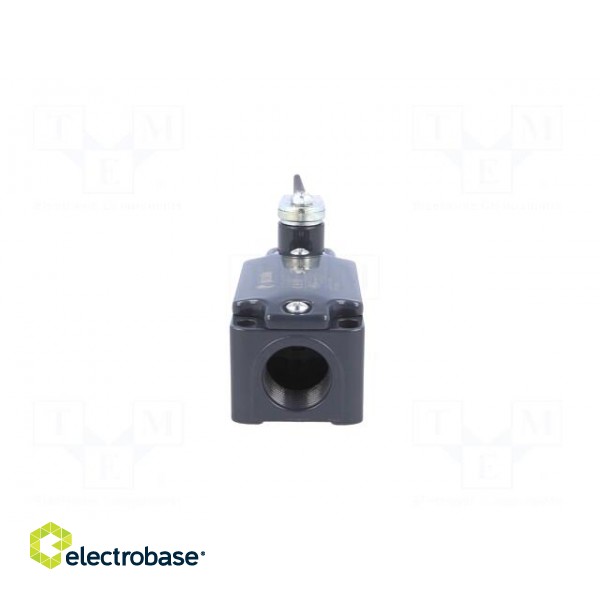 Limit switch | plunger on spring loaded element R 106mm | 10A paveikslėlis 5