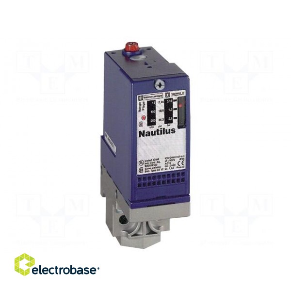 Module: pressure switch | pressure | 0.6÷10bar | OUT 1: SPDT | G 1/4"