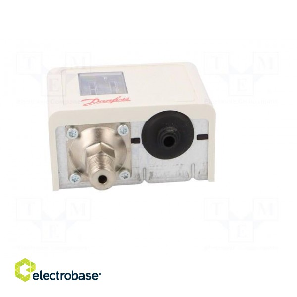 Module: pressure switch | pressure | OUT 1: relay,SPDT | 250VAC/16A фото 9