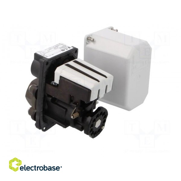Module: pressure switch | pressure | OUT 1: 3PST-NC | IP rating: IP65 paveikslėlis 4