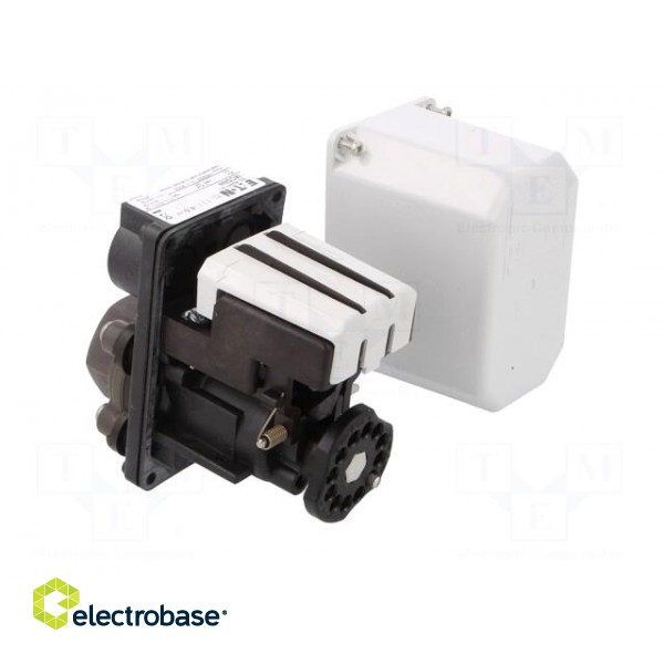 Module: pressure switch | pressure | OUT 1: 3PST-NC | IP rating: IP65 фото 4