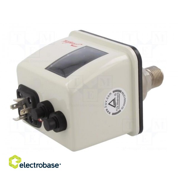 Module: pressure switch | pressure | OUT 1: SPDT | 250VAC/1A | BCP image 6