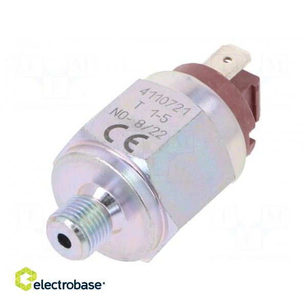 Module: pressure switch | relative pressure | OUT 1: NO | DS-4000-EU image 1