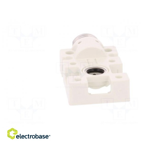 Module: socket | Mounting: for back plate | Connection: G 1/8" image 5