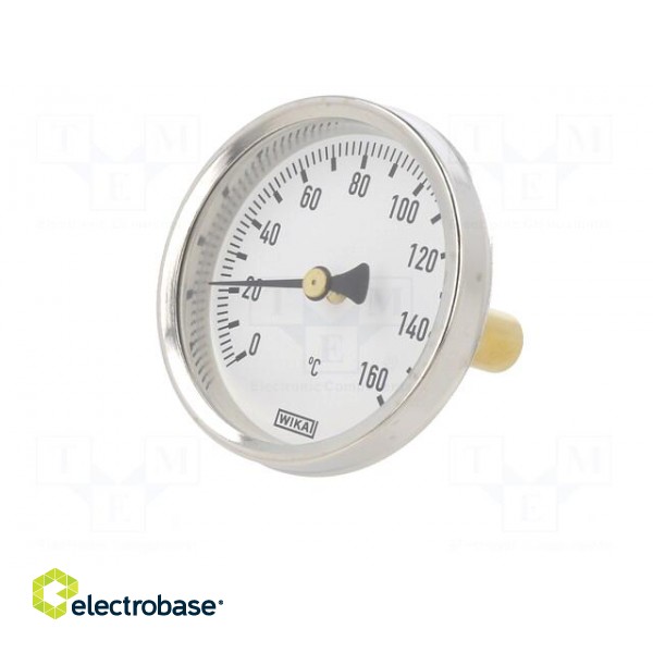 Meter: temperature | analogue,bimetal | 0÷160°C | Probe l: 40mm | A50 image 3