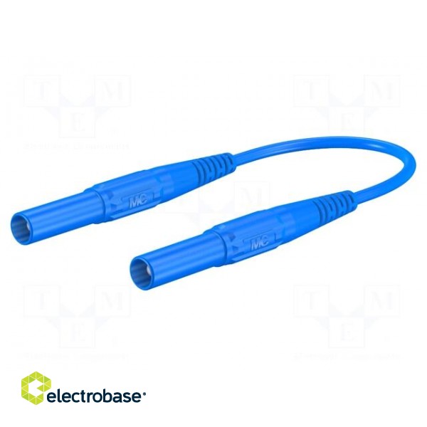 Test lead | 19A | banana plug 4mm,both sides | insulated | Len: 2m