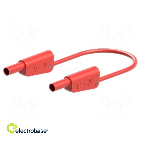 Test lead | 19A | banana plug 4mm,both sides | Urated: 1kV | Len: 2m