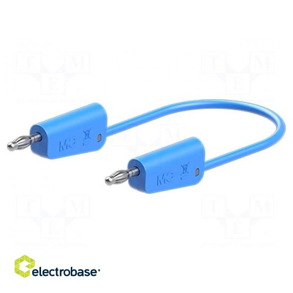 Test lead | 60VDC | 30VAC | 19A | banana plug 4mm,both sides | blue